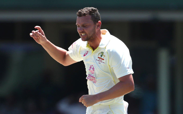 Josh Hazlewood Test.