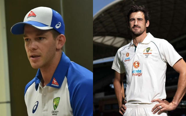 Tim Paine and Mitchell Starc