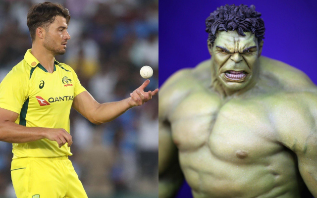 Marcus Stoinis and Hulk.