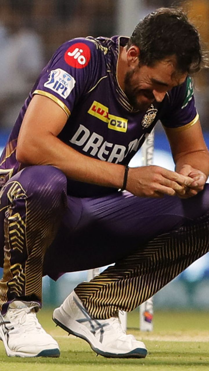1714369452384_Starc-(1).jpeg