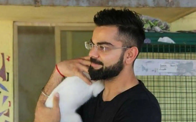 Virat Kohli, Initiatives related to Animal Welfare