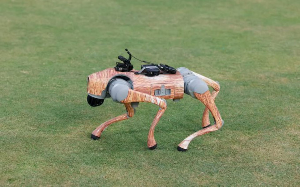 BCCI gets notice from Delhi High Court on changing AI robot’s name