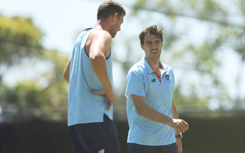 Ashes 2025-26: Josh Hazlewood resumes practice in nets; Pat Cummins gears up with pink ball