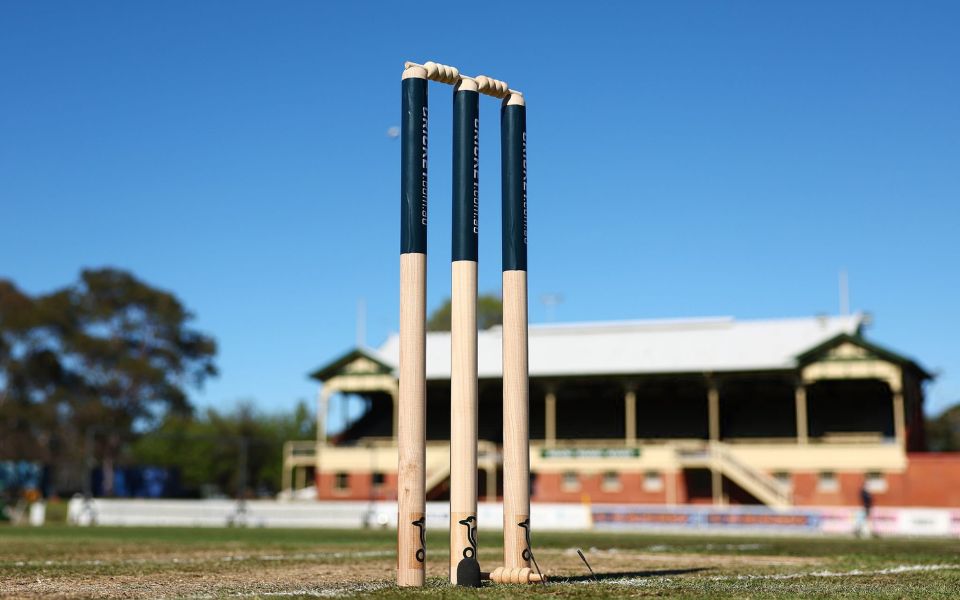 Cricket stumps