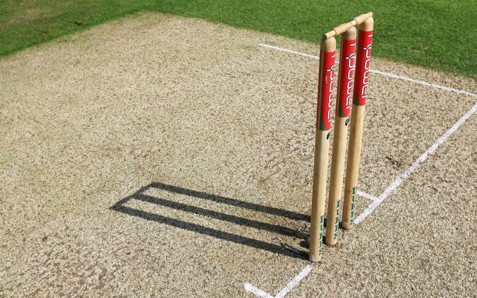 Cricket Stumps