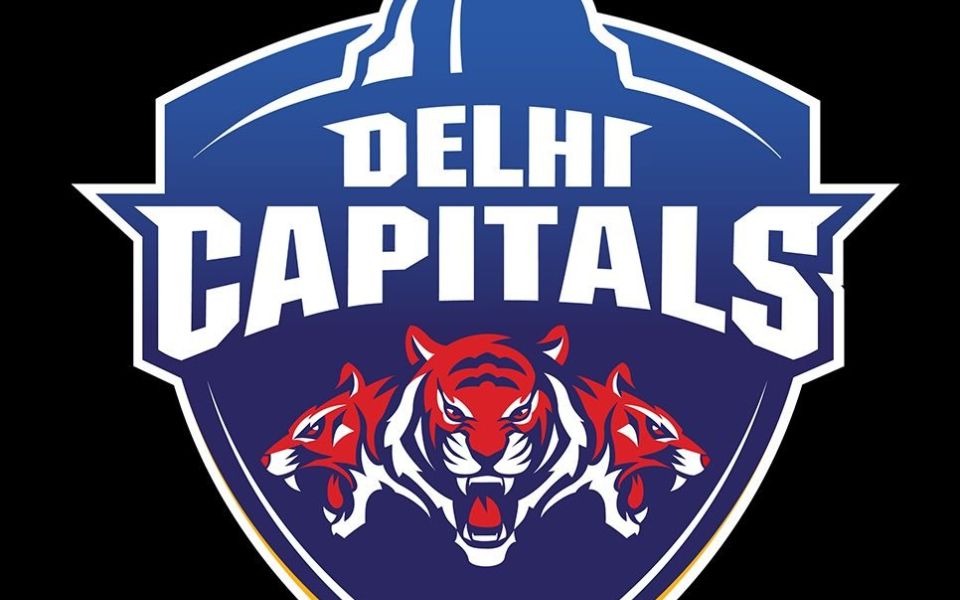 Delhi Capitals logo