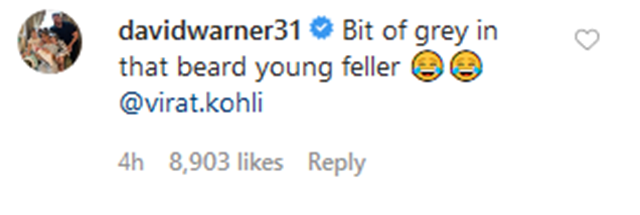 David Warner's comment