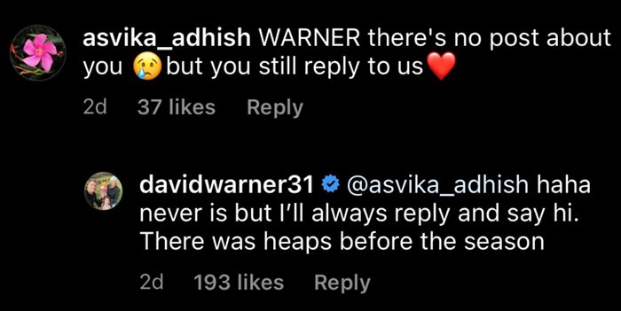 David Warner's reply