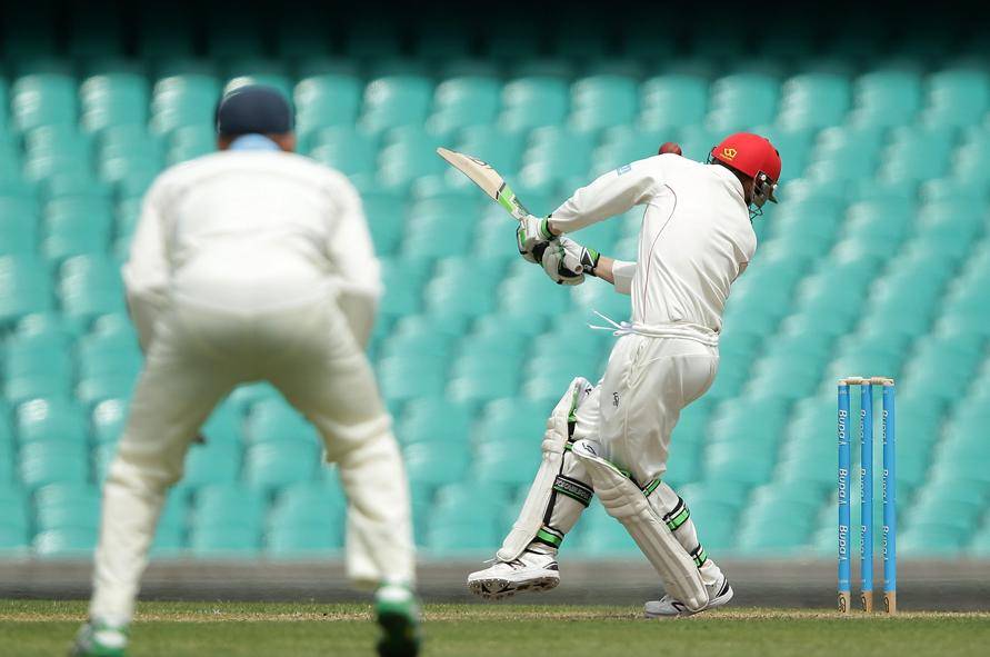 deaths on the cricket field