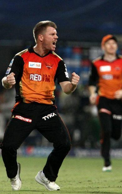 David Warner SRH