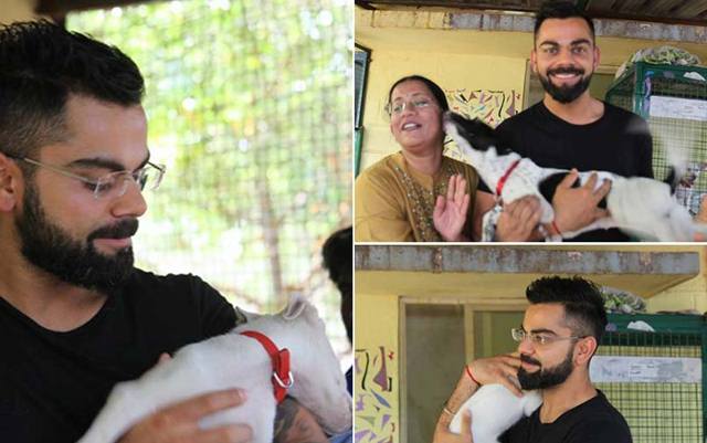 Virat Kohli adopts 15 dogs from a Bengaluru animal rescue centre