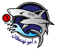 teamFlag