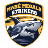 teamFlag