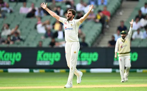Shaheen Afridi
