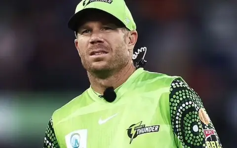 Cricket NSW lends support to David Warner in drunk driving case