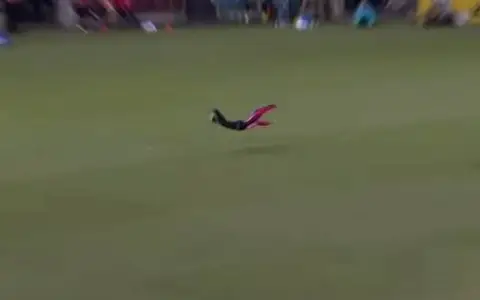 best catch of the BBL