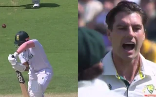 Temba Bavuma and Pat Cummins