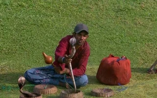 SL vs BAN 2025, First Test: Man with snakes and monkey becomes centre of attraction