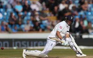 Joe Root