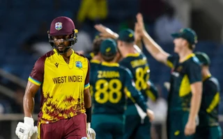 WI vs AUS, Second T20I: Australian players celebrating the wicket of Brandon King