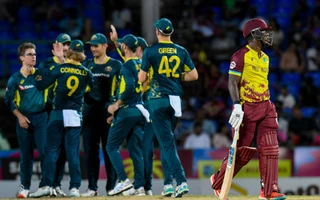 WI vs AUS 2025: Australian team celebrating a wicket