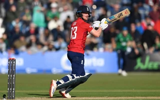 IRE vs ENG, 3rd T20I, Review: Englishmen sign off with series win