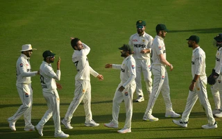 PAK vs SA 2025, 1st Test Day 2 Review: Noman Ali hauls visitors, Zorzi steadies as Pakistan retain upper hand