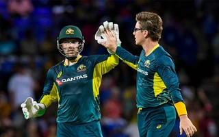 Adam Zampa and Josh Inglis