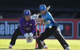 Adelaide strikers women vs Hobart hurricanes women