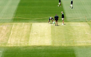 Ashes 2025-26: SCG pitch curator confident of five-day action in New Year's Test