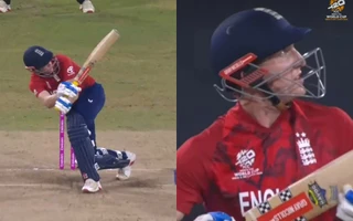 Video of the Day: T20 World Cup 2026 – Harry Brook hits outrageous scoop for six, ball crashes into stadium screen