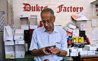 Dukes manufacturer faces 'major crisis' causing shortage of cricket balls amid ongoing Gulf War