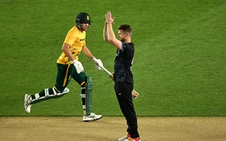 NZ vs SA