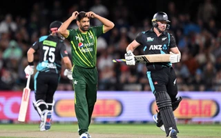 Pakistan vs New Zealand