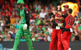 Cricket Australia faces turmoil after Melbourne Stars-Renegades merger plan