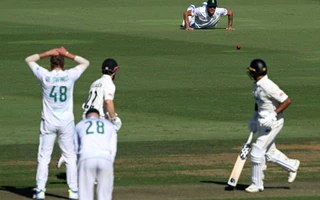 New Zealand vs South Africa