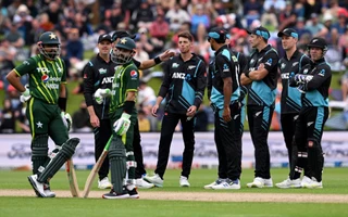 New Zealand vs Pakistan