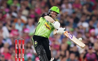David Warner pleads guilty to drink-driving charge in Sydney court, faces jail time