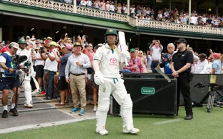 David Warner