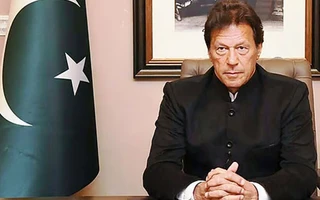 Former captains renew appeal to Pakistan PM over Imran Khan's health