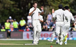 Tim Southee